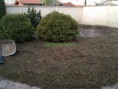 /album/kepgaleria-vecses-kert-takaritas-/img-20140310-073219-masolas-jpg/